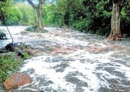 ராஜபாளையம் மேற்கு தொடர்ச்சி மலையில் பெய்த கனமழை காரணமாக மலையடிவாரத்தில் உள்ள ஆற்றில் வெள்ளப் பெருக்கு