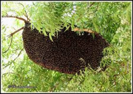 அறைகள் உண்டு இது வீடு அல்ல,