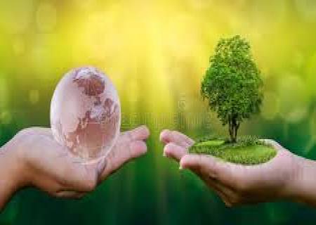 மரக்கன்றுகளை காக்கும் கண்ணாடி