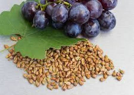 கருப்பு திராட்சை விதை 