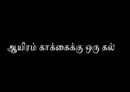 ஆயிரம் காக்கைக்கு ஒரு கல்.