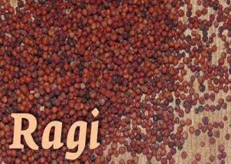 கேழ்வரகில் சமைத்த உணவுகளை அதிகம் சாப்பிட வேண்டும்