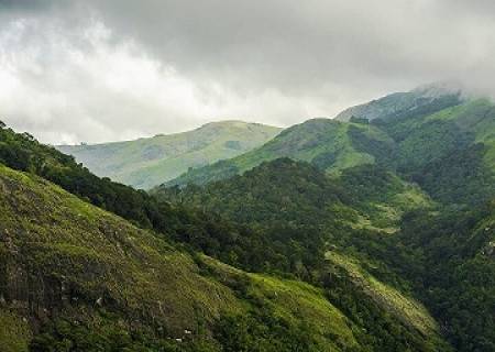 மேற்குத் தொடர்ச்சிமலையும், கிழக்குத்தொடர்ச்சிமலையும்இணையுமிடம், நீலகிரி
