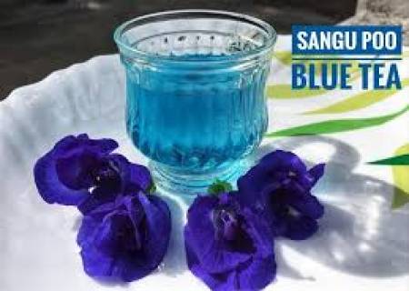 ப்ளு டீ (சங்குப்பூ டீ)