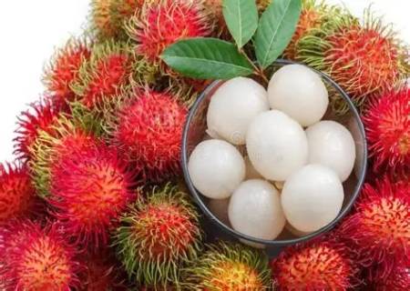 மயிர் முளைச்சான்  ''ரம்புட்டான்'
