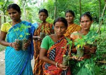 பெண் குழந்தை பிறந்தால் 111 மரங்களை நடும், ராஜஸ்தானின் கிராம மக்கள்.