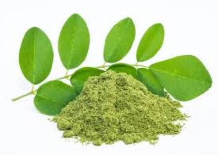 முருங்கைக்கீரைப் பொடி.