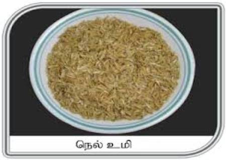 கட்டுப்பட்டு இருந்த மகளை, விட்டுப் பிரிந்து வந்தாள்.-