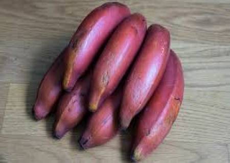ரத்தக் கொதிப்பு கட்டுக்குள் இருக்க....
