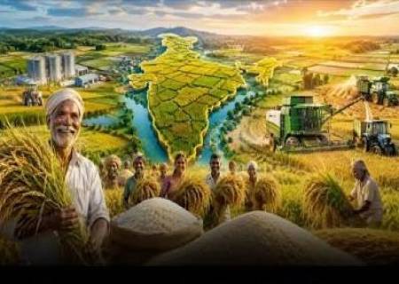 அரிசி உற்பத்தியில் இந்தியா உலக சாதனை.