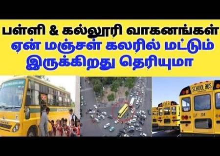 பள்ளி பேருந்துகள் ஏன் மஞ்சள் நிறத்தில் இருக்கின்றன?