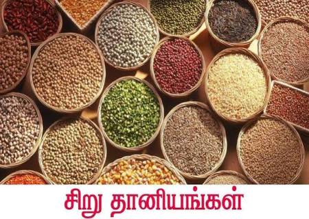 சிறு தானியங்களின் மருத்துவ பயன்கள்: முதுமையை வெல்லும் நல்உணவு!