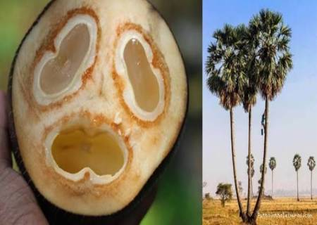கழுத்தை வெட்டினால் கண் தெரியும்?அவன் யார்?