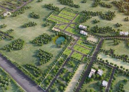 விலை போகும் விளை நிலங்கள் .