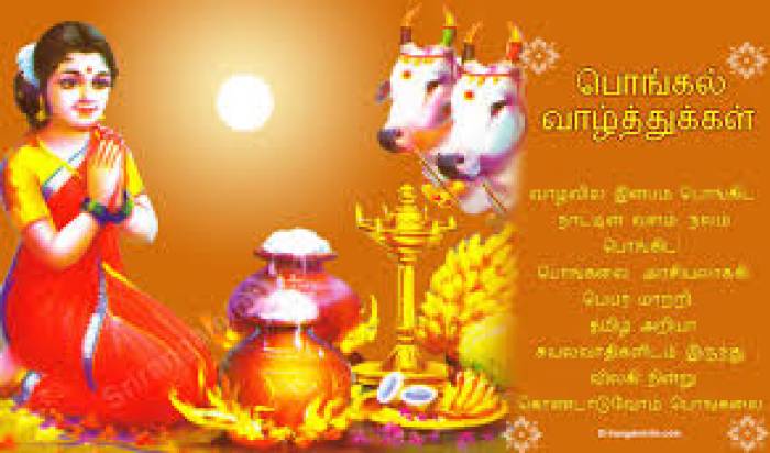 மாட்டுப் பொங்கல் நல்வாழ்த்துக்கள்