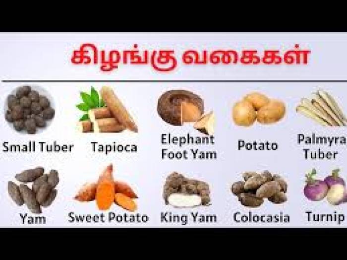 கிழங்கு வகைகளும், அற்புத மருத்துவ குணங்களும்