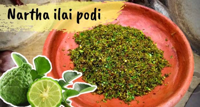 நாரத்தை இலையை பொடி செய்து சாப்பிட்டால் அஜீரணம் சரியாகும்.