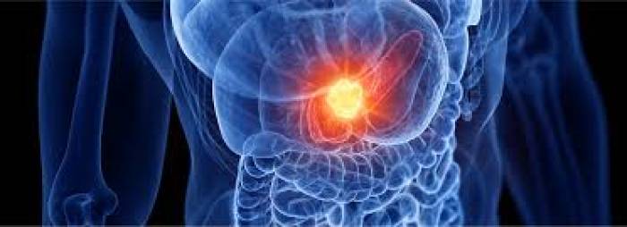 கணைய பாதிப்பு எதனால்..