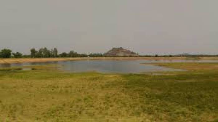 ராஜபாளையம் 6-வது மைல் தேக்கத்தில் குறைந்து வரும் நீர்மட்டம் .