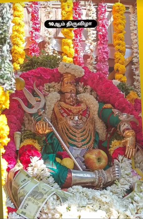 ராஜபாளையம்-தென்காசி சாலையில் அமைந்துள்ள புதுப்பாளையம் பெரிய மாரியம்மன் கோவிலில் பூக்குழி திருவிழா.