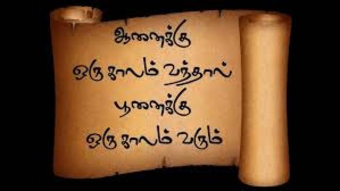 ஆனைக்கொரு காலம் பூனைக்கொரு காலம்