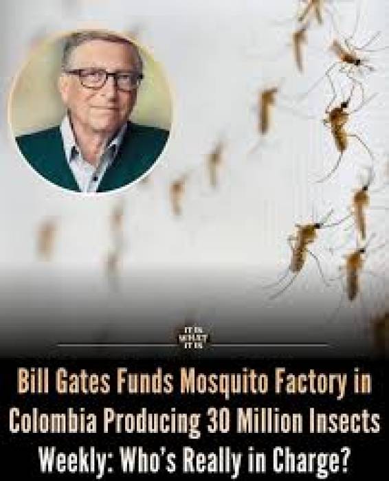 பில் கேட்ஸ்  (Bill Gates) நிதியுதவியுடன் 3 கோடி கொசுக்களை உற்பத்தி செய்து காற்றில் பறக்கவிடுகிறது.