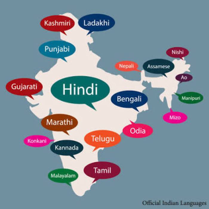இந்தியாவின் தேசிய மொழி எது?