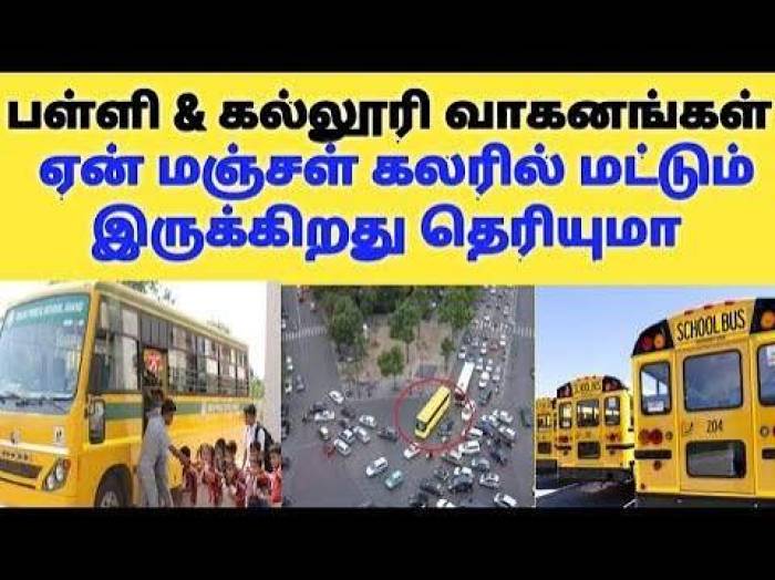பள்ளி பேருந்துகள் ஏன் மஞ்சள் நிறத்தில் இருக்கின்றன?
