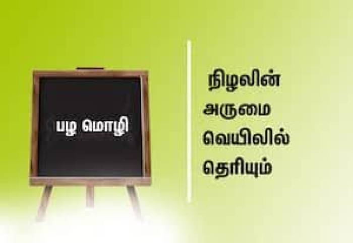 நிழலின் அருமை வெயிலில் தெரியும்.